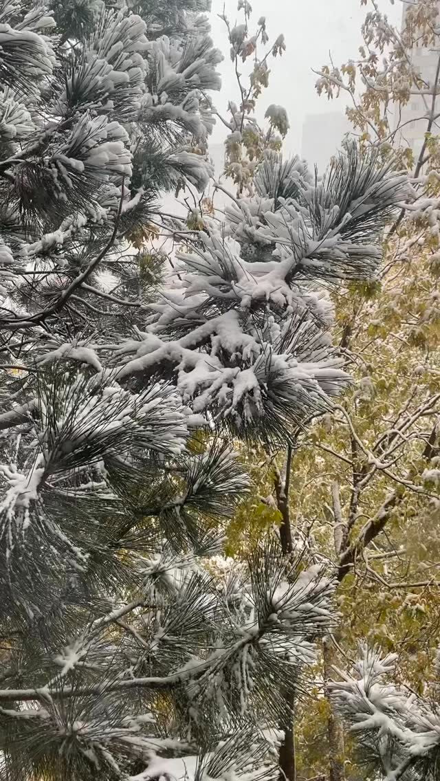 Instagram post from desitravelling1. This post is in position 4.