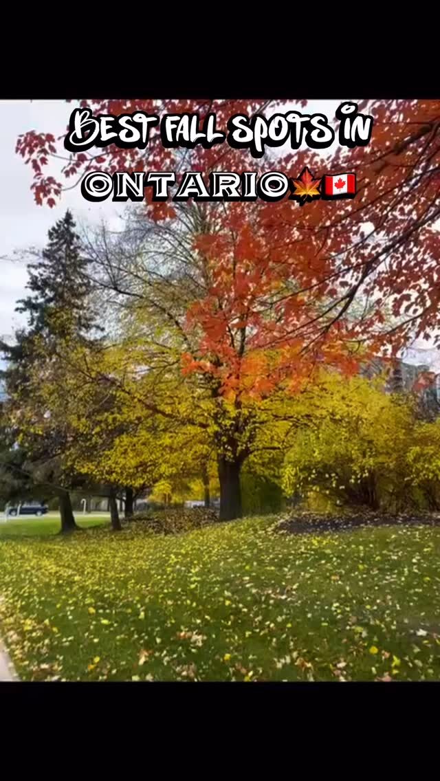 Instagram post from desitravelling1. This post is in position 4.